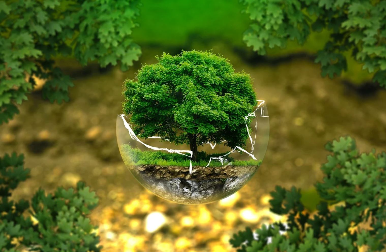 Ecologie, environnement