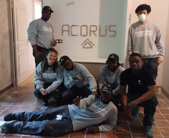 Acorus geek